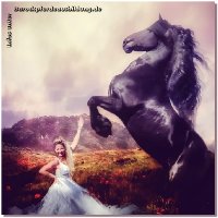 
Aufgrund der derzeitigen schlechten Marktlage, was Friesenpferde betrifft, habe ich mich nun ein wenig mehr auf PREs konzentriert. Es z&auml;hlen bereits viele Jahre stolze spanische Hengste, mit denen ich &auml;u&szlig;erst gl&uuml;cklich bin, zu meinem Eigentum, somit ist mir das nicht neu. Nat&uuml;rlich h&ouml;rt sich das f&uuml;r einige ein wenig seltsam an, wurde ich doch Jahrzehnte lang als "Friesen-Gaby" betitelt! Nun, Zeiten &auml;ndern sich - f&uuml;r alle von uns!