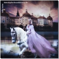 
Aufgrund der derzeitigen schlechten Marktlage, was Friesenpferde betrifft, habe ich mich nun ein wenig mehr auf PREs konzentriert. Es zählen bereits viele Jahre stolze spanische Hengste, mit denen ich äußerst glücklich bin, zu meinem Eigentum, somit ist mir das nicht neu. Natürlich hört sich das für einige ein wenig seltsam an, wurde ich doch Jahrzehnte lang als "Friesen-Gaby" betitelt! Nun, Zeiten ändern sich - für alle von uns!