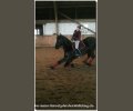 Bild: barockpferdeausbildung.de training kurse 02