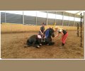 Bild: barockpferdeausbildung.de training kurse 68