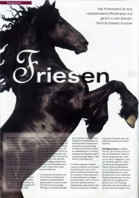 Zeitschrift: Pferde Regional Bayern & Hessen 11/2008 -Seite-1-