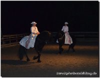 Das Festival in Schruns, "Montafoner Sommer" ist jedes Jahr ein Highlight. Keine Kosten und Mühen wurden gescheut, mich dort hin zu buchen, um mit 2 Friesenhengsten das Programm zu bereichern! Ein voller Erfolg und ein großes dankeschön an Kathrin vom Friesenstall Marschhorst, die mich mit dem Friesendeckhengst "Targon von Marschhorst" begleitete und unterstützte!