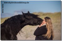 Toll, wenn man dann solche Fotos erhält mit rührendem Feedback.....auf den Fotos ein VK Pferd und ein Trainingspferd von Linda & family - danke, liebe Linda und danke all den anderen treuen Kunden!