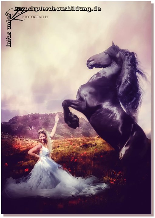 Barockpferdeausbildung Titelbild