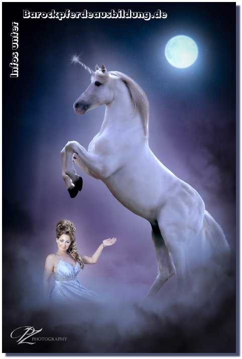 Barockpferdeausbildung Titelbild