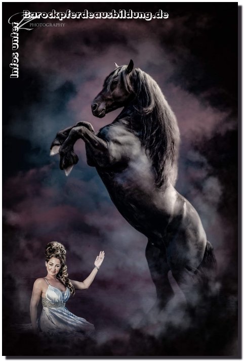 Barockpferdeausbildung Titelbild