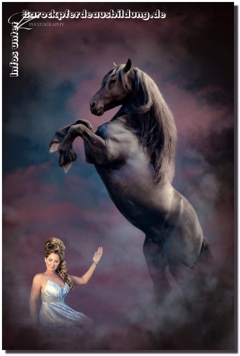 Barockpferdeausbildung Titelbild