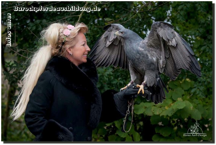 Barockpferdeausbildung Titelbild