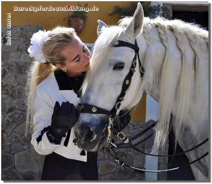 Barockpferdeausbildung Titelbild