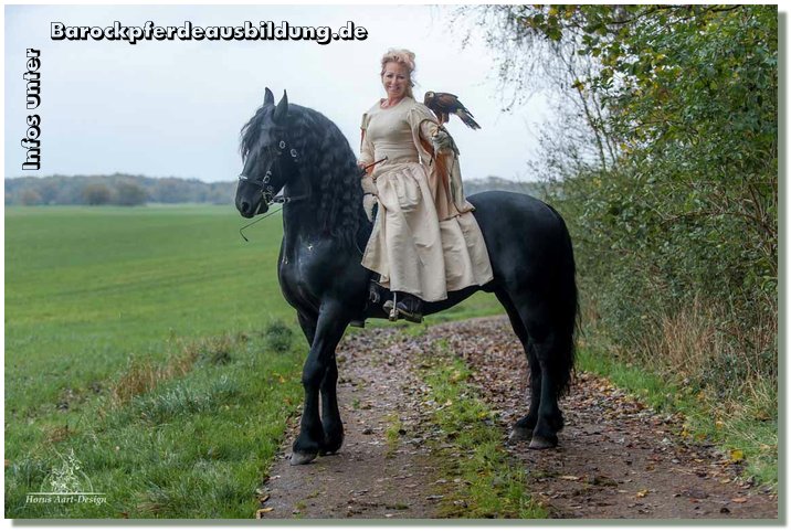 Barockpferdeausbildung Titelbild