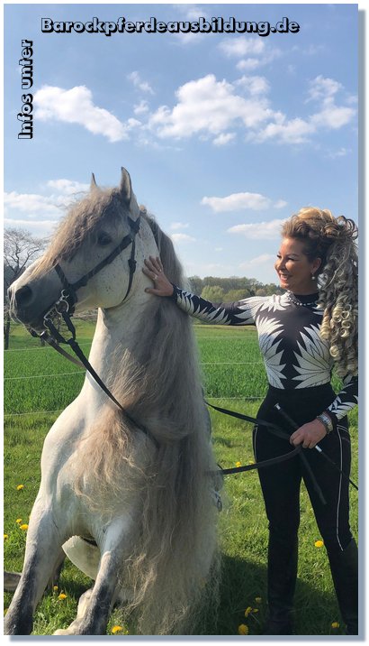 Barockpferdeausbildung Titelbild