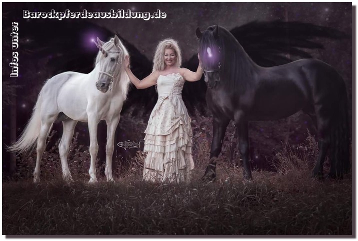 Barockpferdeausbildung Titelbild