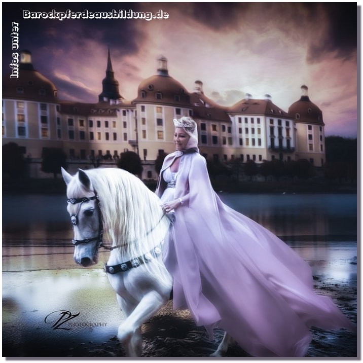 Barockpferdeausbildung Titelbild