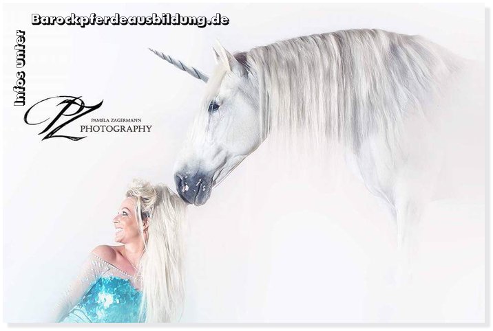 Barockpferdeausbildung Titelbild
