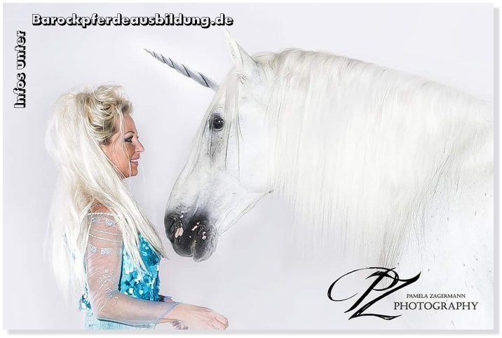 Barockpferdeausbildung Titelbild
