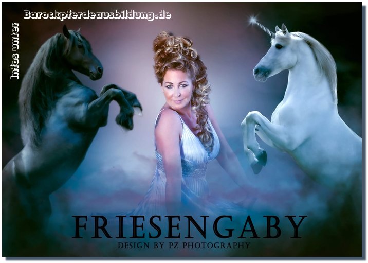 Barockpferdeausbildung Titelbild