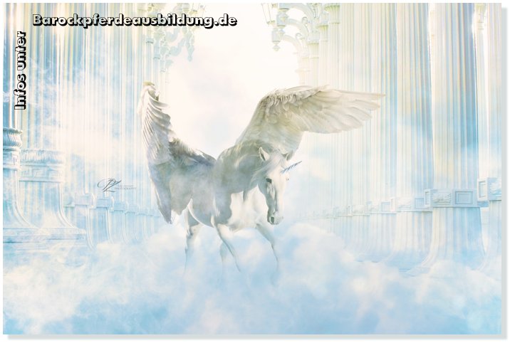 Barockpferdeausbildung Titelbild