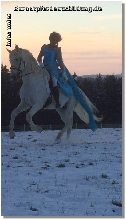 Barockpferdeausbildung Titelbild