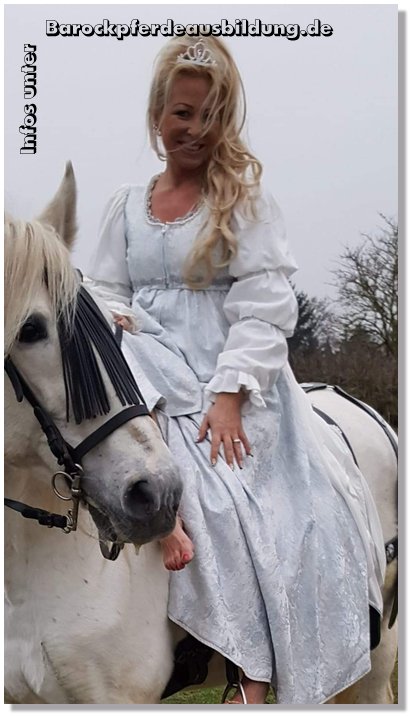 Barockpferdeausbildung Titelbild