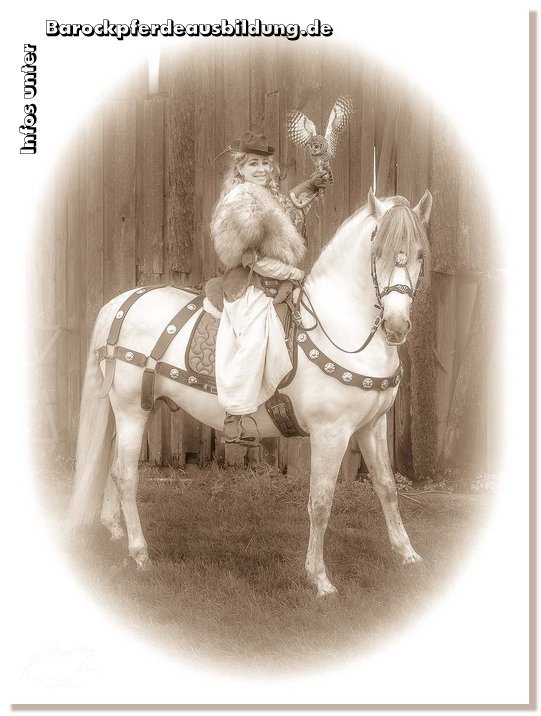Barockpferdeausbildung Titelbild