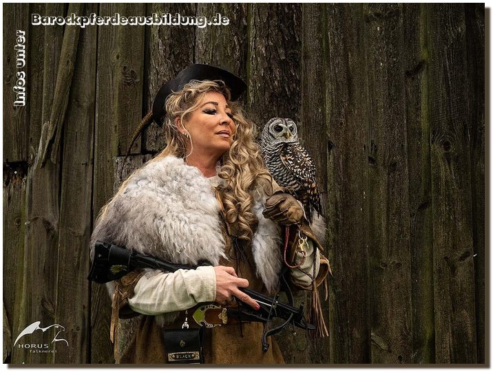 Barockpferdeausbildung Titelbild