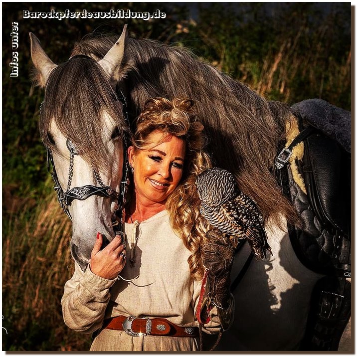 Barockpferdeausbildung Titelbild
