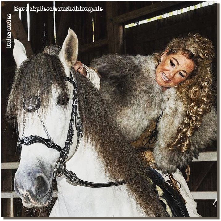 Barockpferdeausbildung Titelbild
