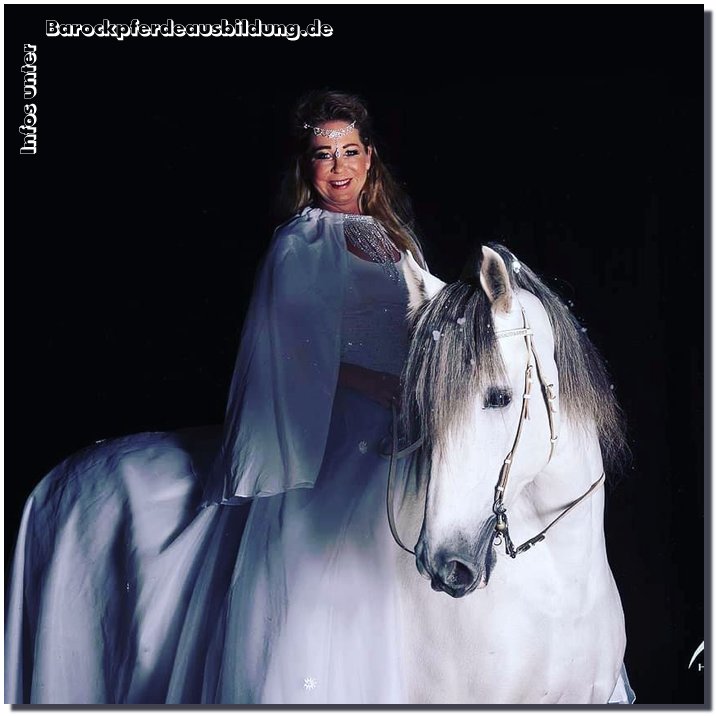 Barockpferdeausbildung Titelbild
