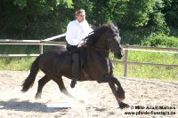 Der 6jährige Wallach meiner   Freundin hat es ihm sofort angetan und nach ein paar Reitstunden, Geländeritt   und Probereiten mit Schwert und Schild, was alles kein Problem für den "Dicken" war, gab auch der Tierarzt bei der AKU grünes Licht.