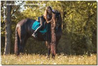 Auf den Fotos Chiara mit 2 von mir empfohlenen Friesenjungs, "Olli" und "Joritt" - herzlichen Glückwunsch allen Beteiligten und viele tolle gemeinsame Jahre!