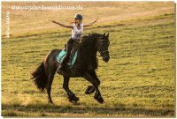 Auf den Fotos Chiara mit 2 von mir empfohlenen Friesenjungs, "Olli" und "Joritt" - herzlichen Glückwunsch allen Beteiligten und viele tolle gemeinsame Jahre!